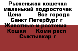 Рыженькая кошечка маленький подросточек › Цена ­ 10 - Все города, Санкт-Петербург г. Животные и растения » Кошки   . Коми респ.,Сыктывкар г.